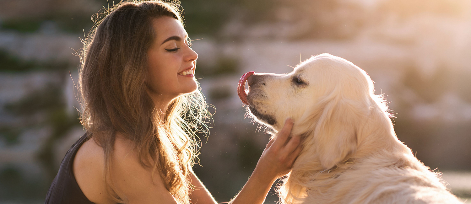 We Welcome Your Furry Friends Our Victorville, Ca Hotel Is Pet-Friendly